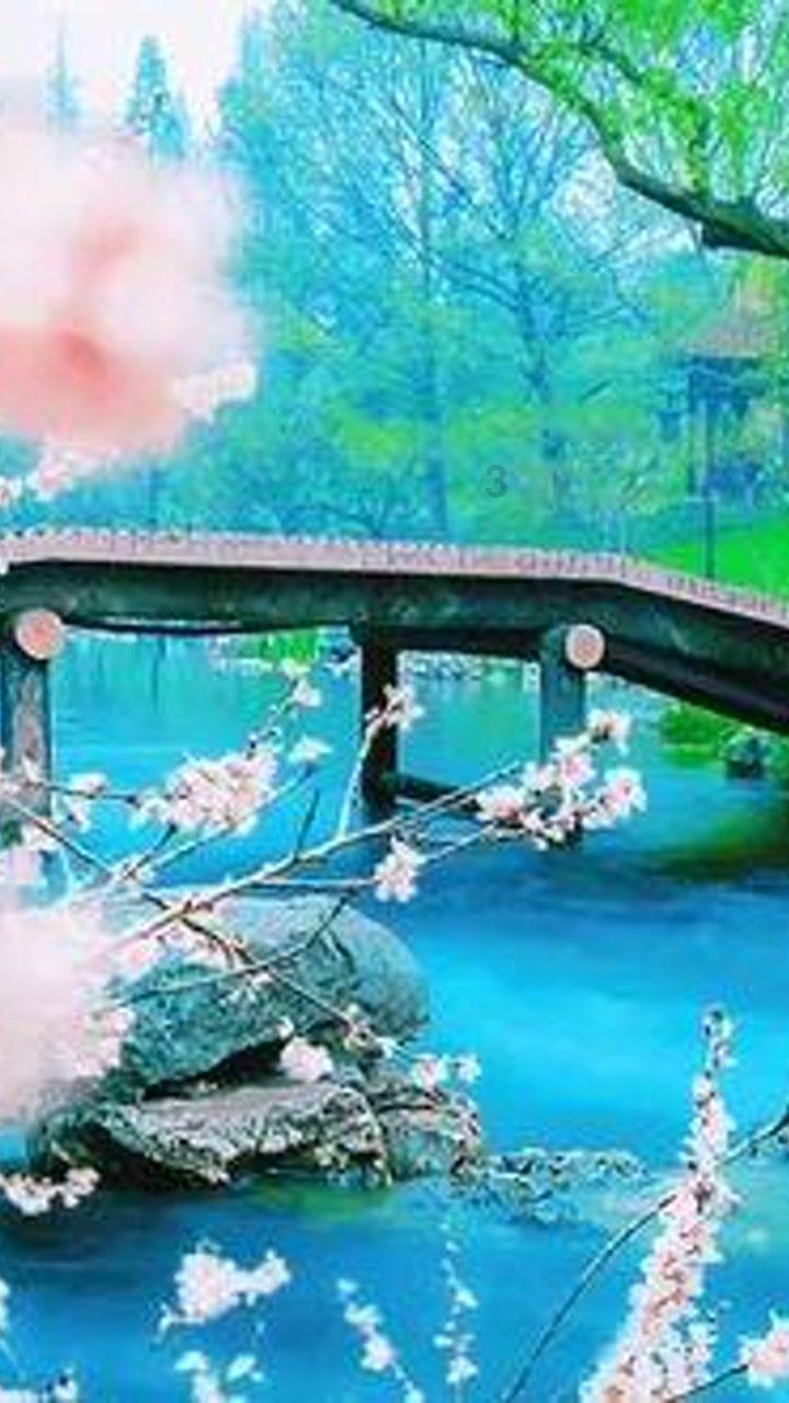 深中华A止步12连板